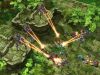 StarCraft 2 - 15